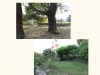 photo-montée-jardinsdutao5