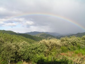 Qi Gong, les jardins du tao-exterieur-vue ouest-1