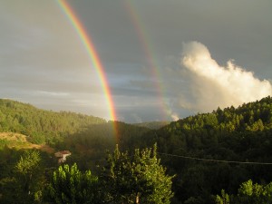 qi gong l'école du qi arc en ciel 2