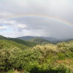 qi gong l'école du qi arc en ciel